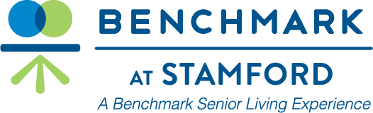 STM Logo Blue