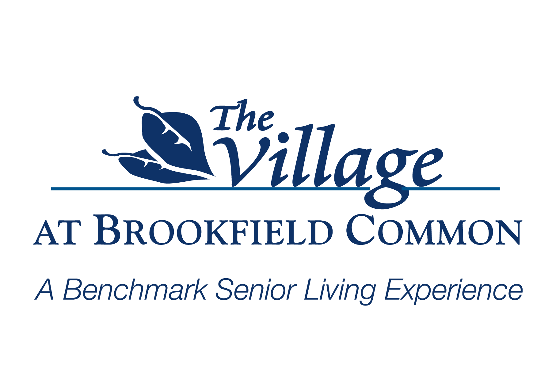 VBC_logo_blue
