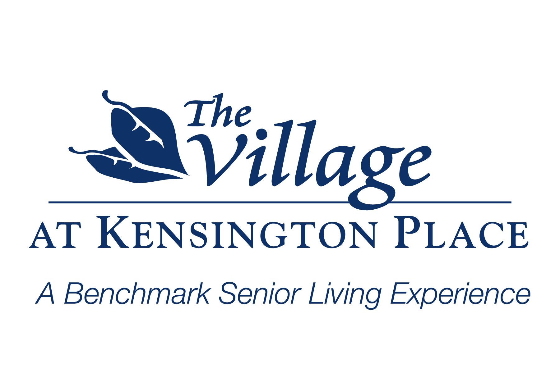 VKP_logo_blue