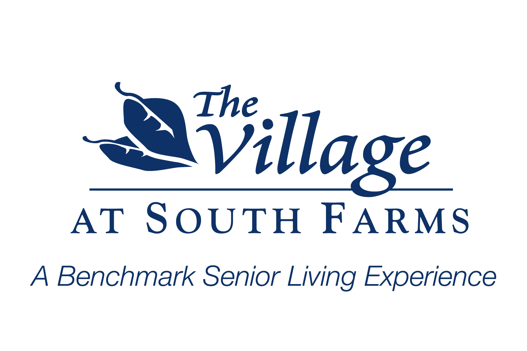 VSF_logo_blue